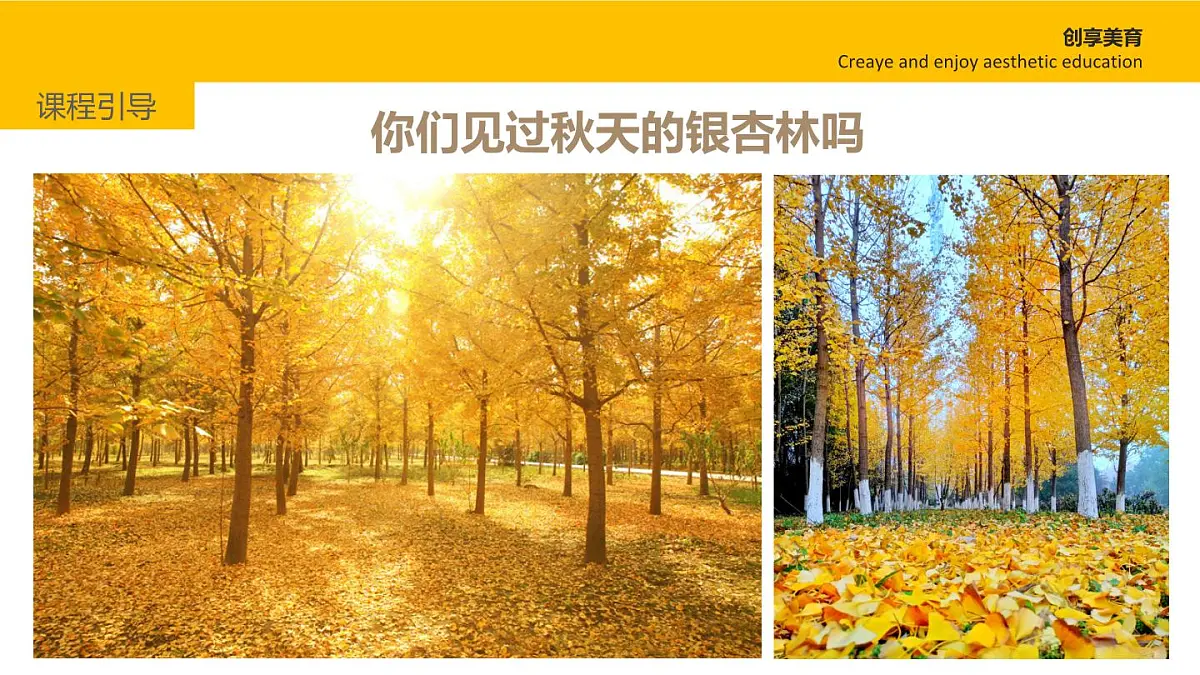 大班《一叶知秋》+课件第7页