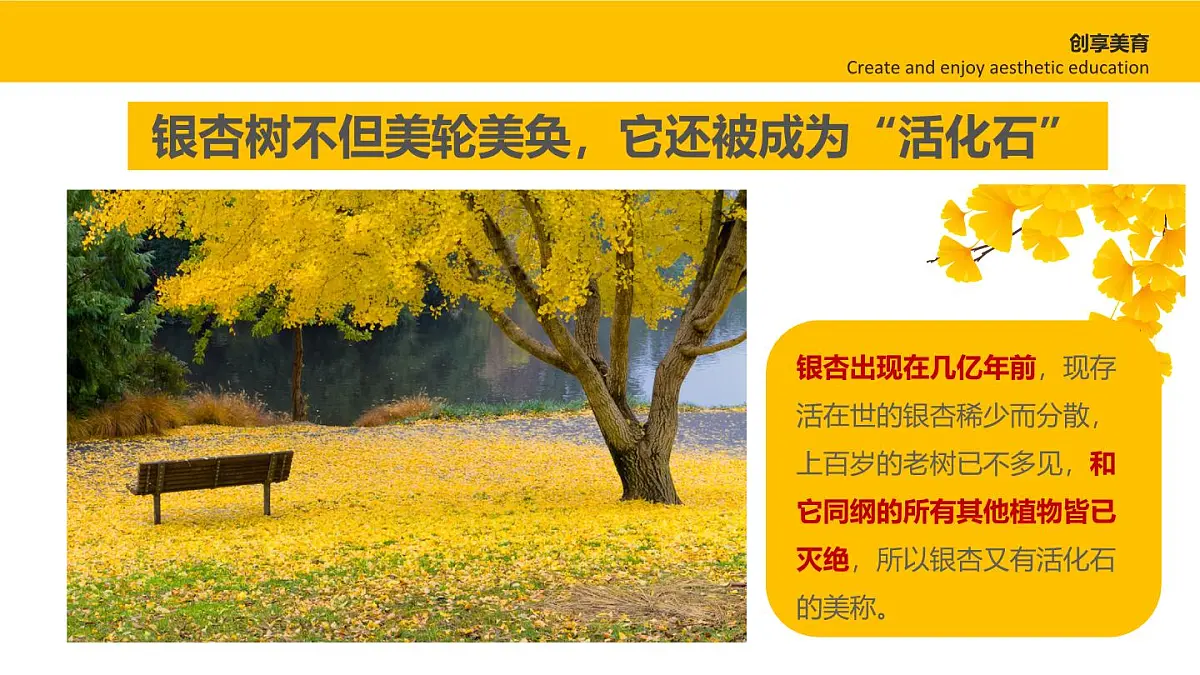 大班《一叶知秋》+课件第8页