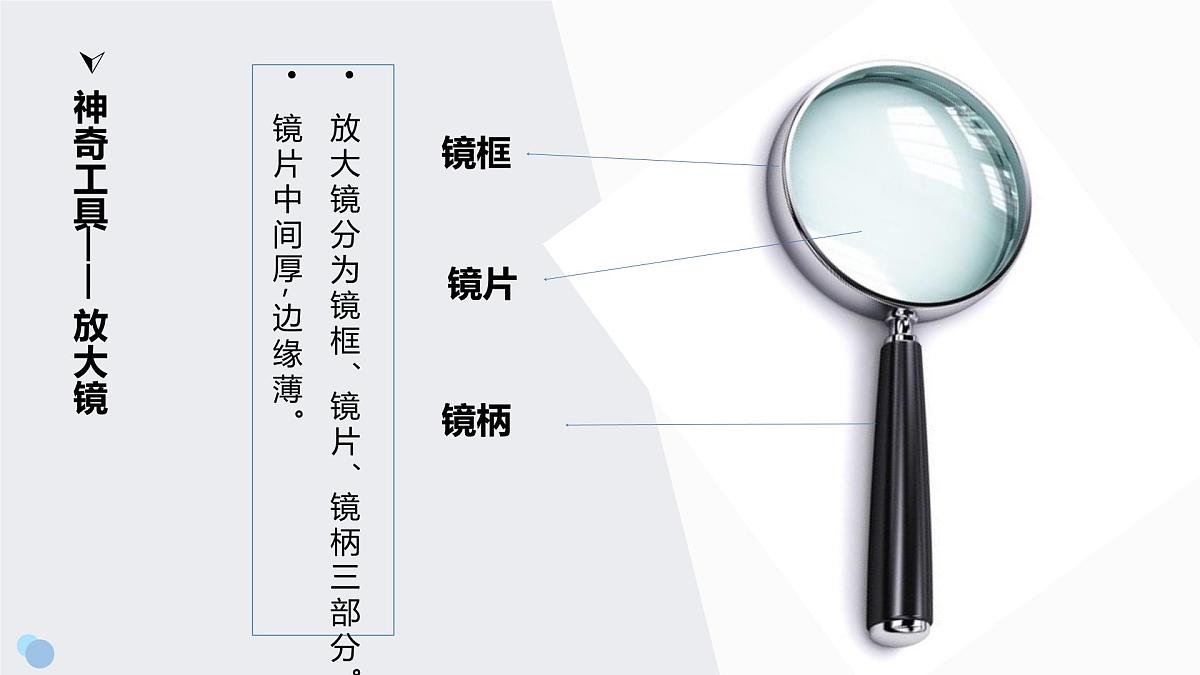 大班《放大镜》+课件第6页