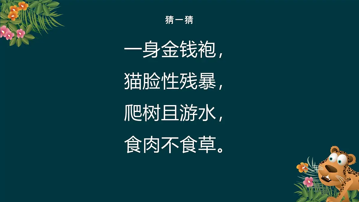 大班《金钱豹》+课件第4页