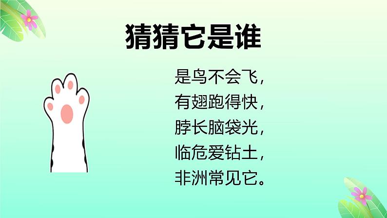 大班《追上鸵鸟先生》+课件第4页