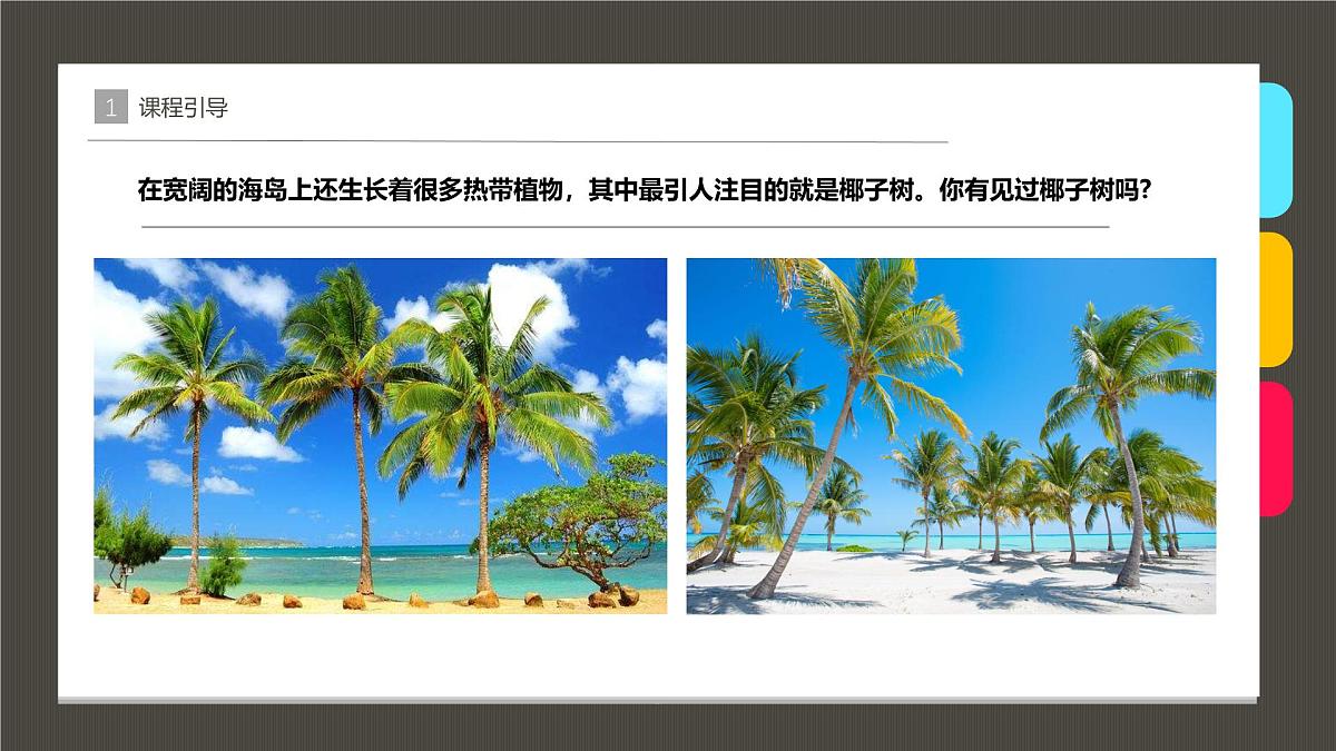 大班《碧海椰风》+课件第5页