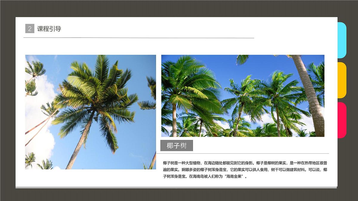 大班《碧海椰风》+课件第6页