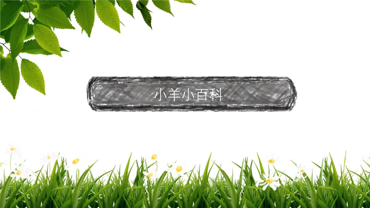 大班《三只小羊》+课件第3页