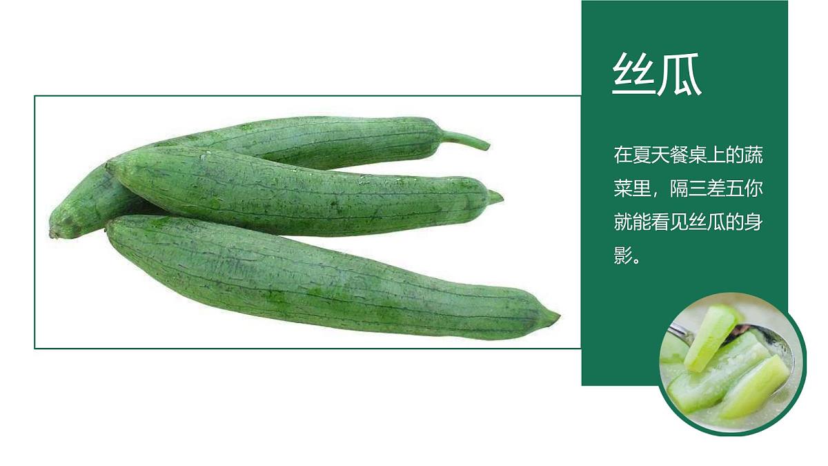 大班《小小青龙藤上挂》+课件第4页