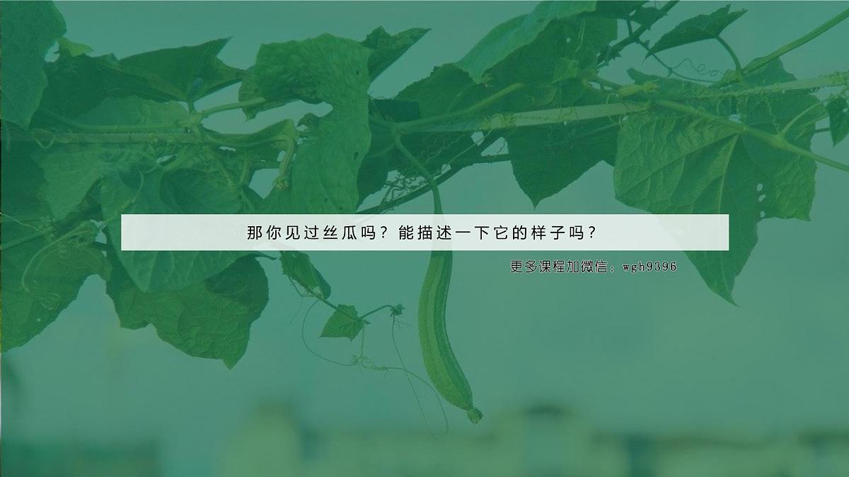 大班《小小青龙藤上挂》+课件第6页