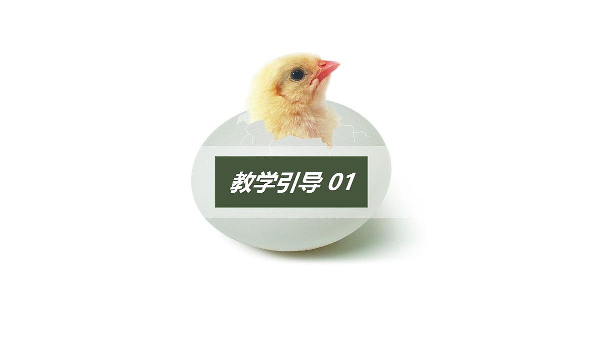 大班《小鸡破壳》+课件第3页