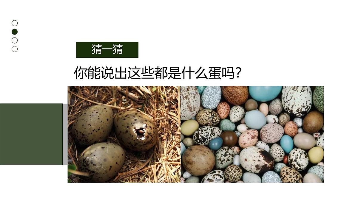 大班《小鸡破壳》+课件第5页