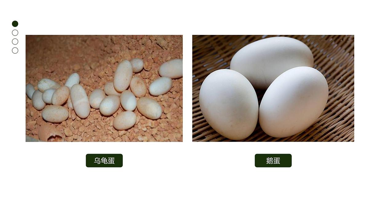 大班《小鸡破壳》+课件第6页