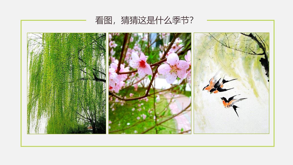 大班《春日美景》+课件第3页