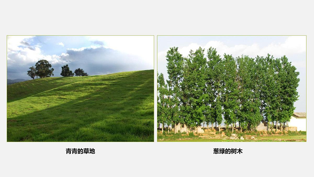大班《春日美景》+课件第5页