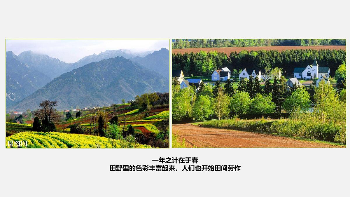 大班《春日美景》+课件第8页