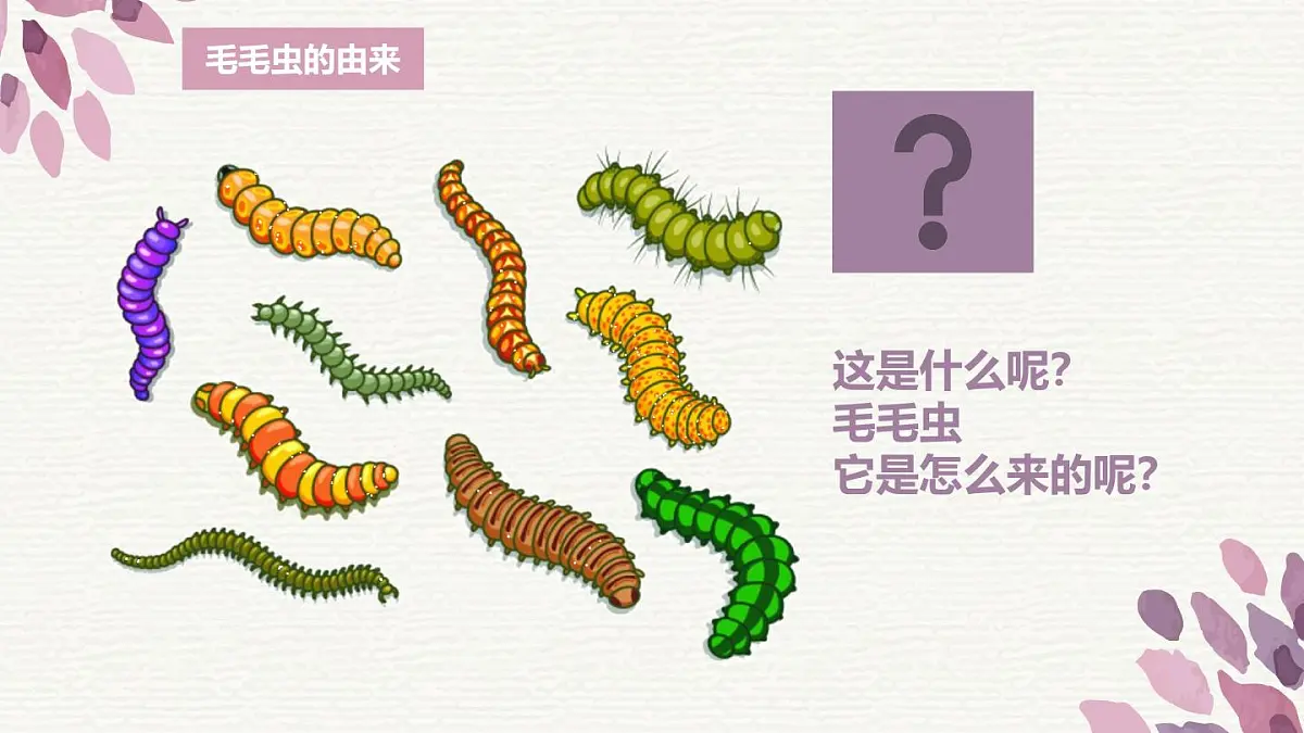 大班《蝴蝶翩翩飞》+课件第4页