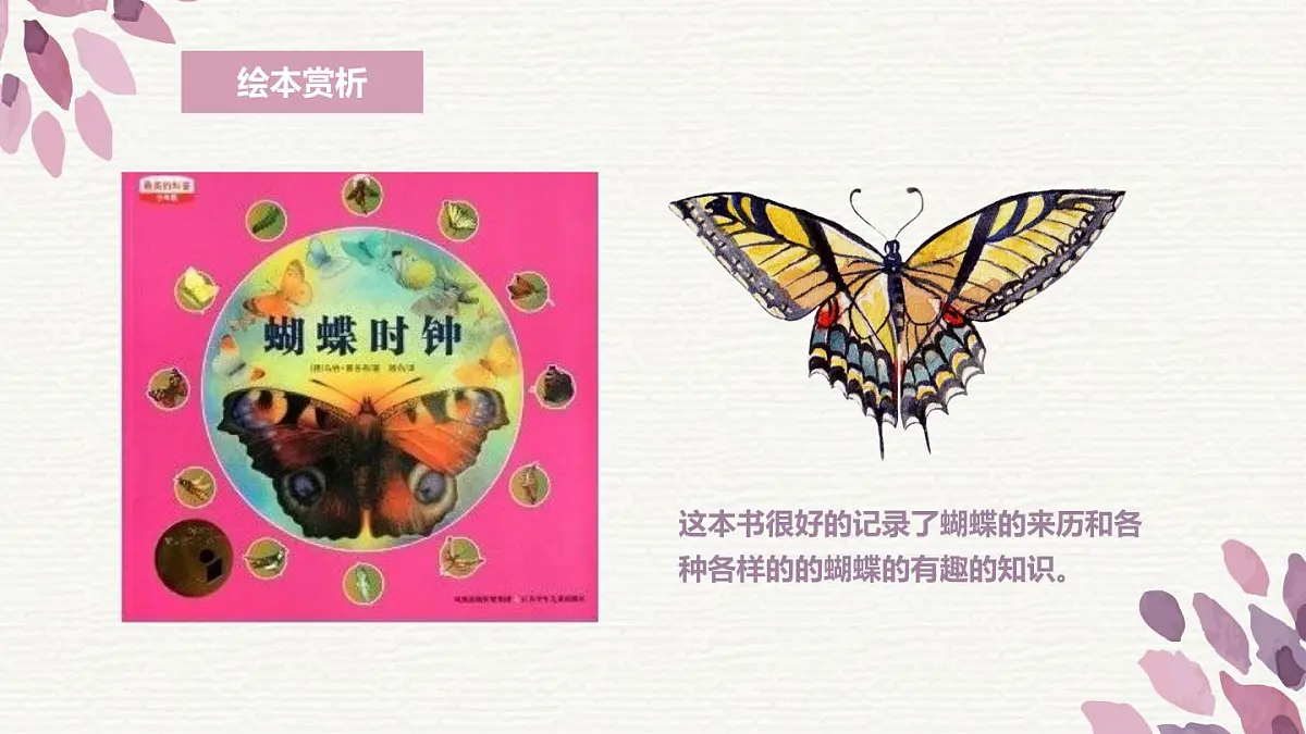 大班《蝴蝶翩翩飞》+课件第5页