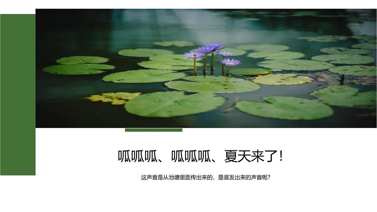 大班《荷叶上的小青蛙》+课件第3页