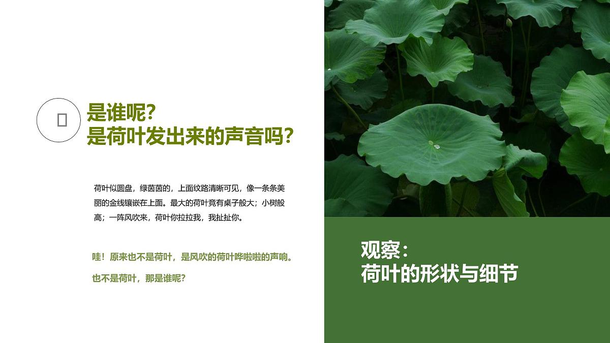 大班《荷叶上的小青蛙》+课件第7页