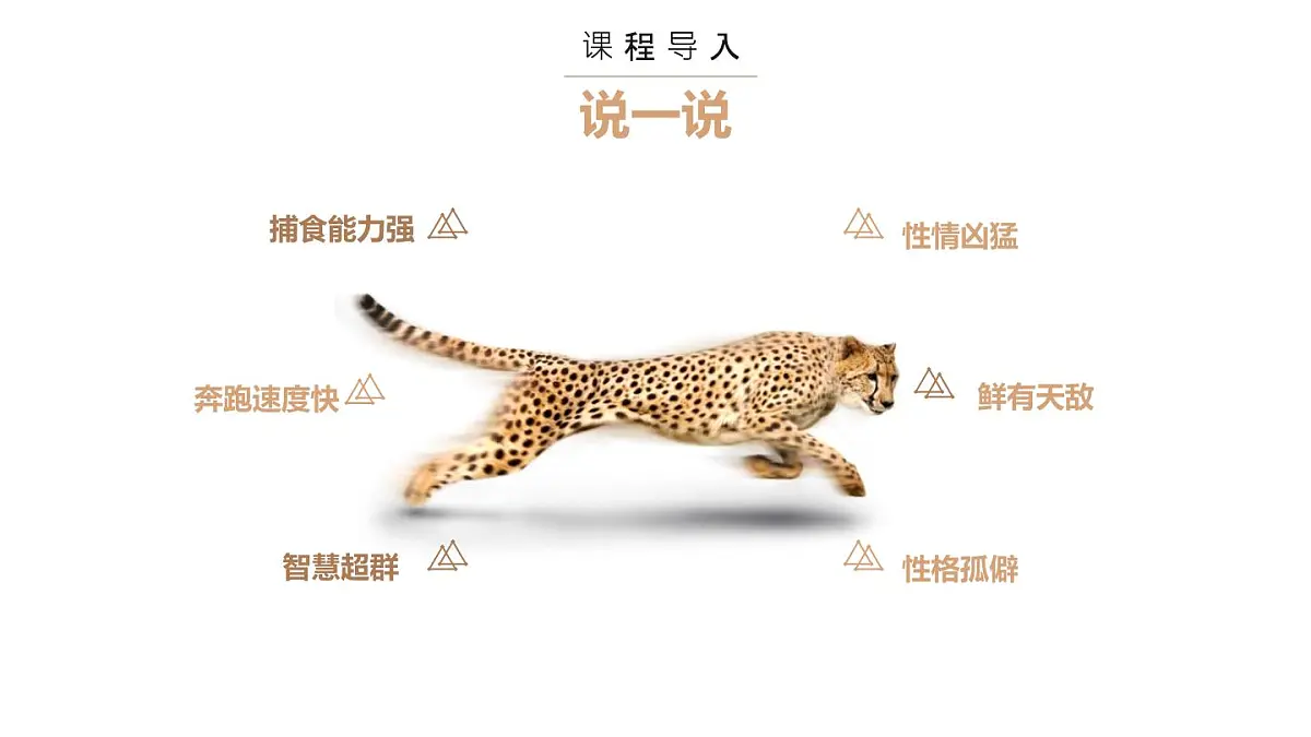大班《林中花豹》+课件第5页