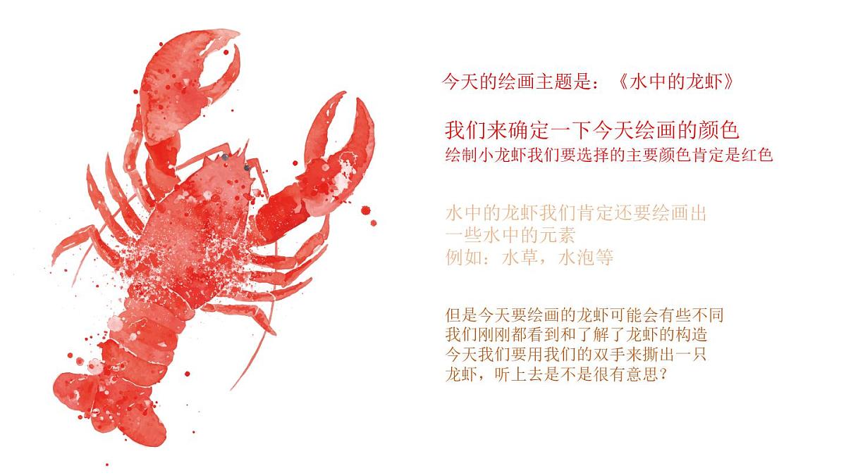 大班《水中的龙虾》+课件第7页