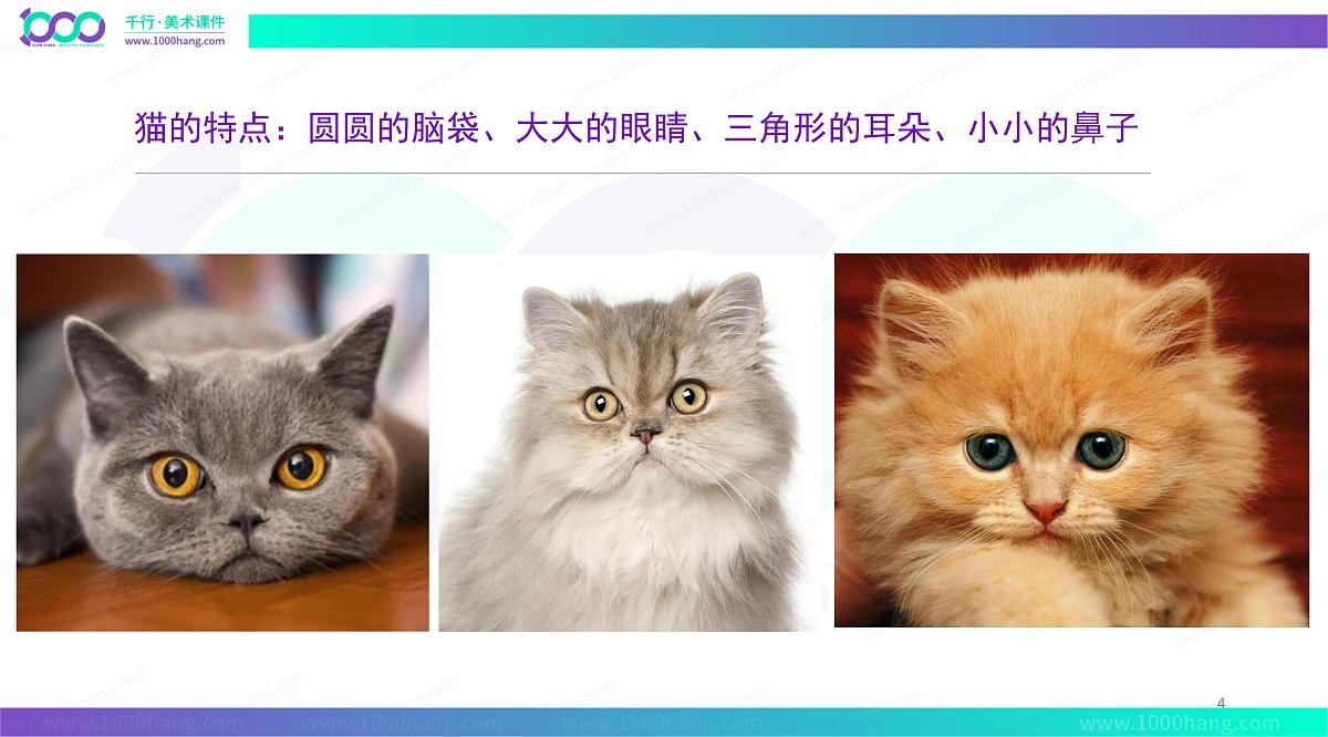 大班《爱染发的猫咪纸》+课件第4页