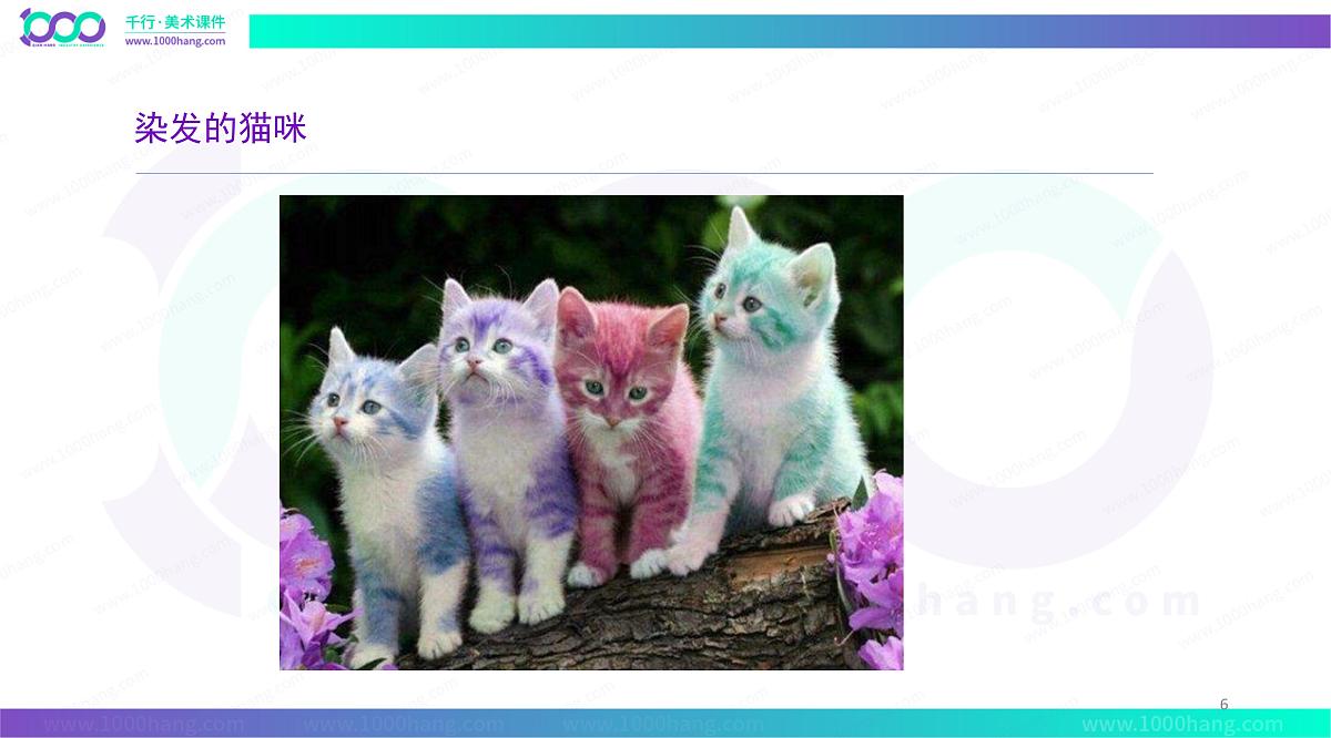 大班《爱染发的猫咪纸》+课件第6页