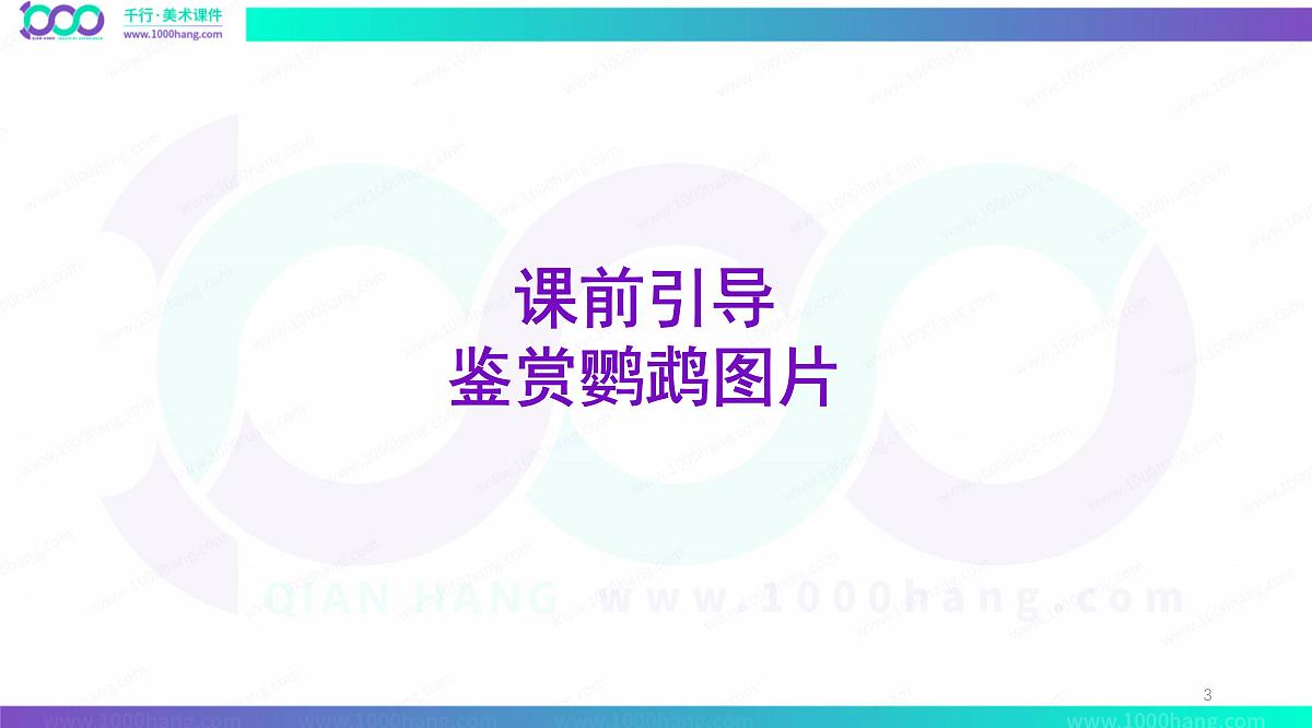 大班《鹦鹉彩纸纸》+课件第3页