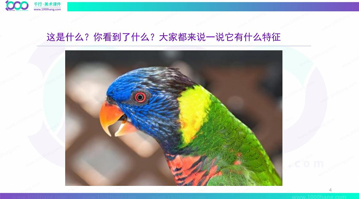 大班《鹦鹉彩纸纸》+课件第4页