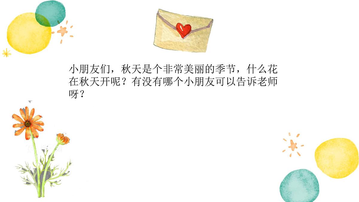 大班  美丽的菊花》+课件第4页