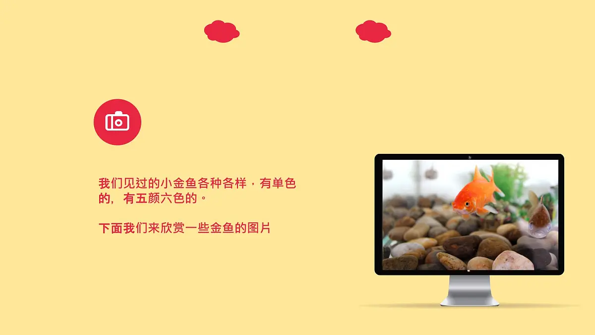 大班《小金鱼》+课件第5页