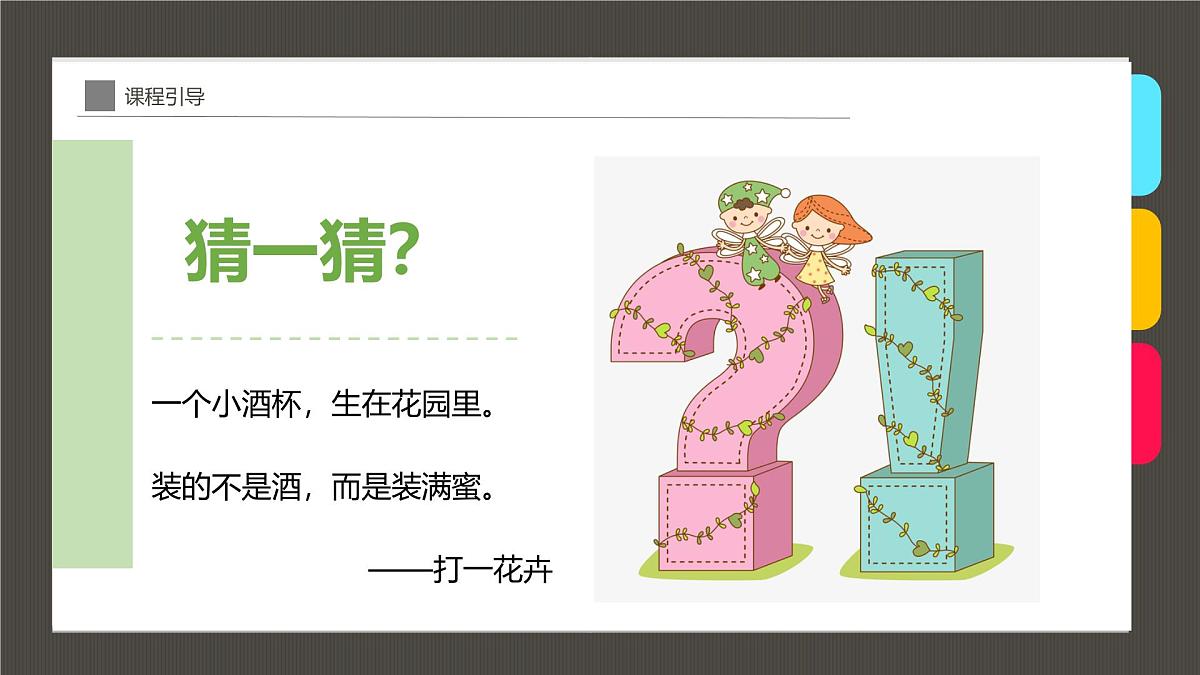 大班《花瓶中的郁金香》+课件第4页