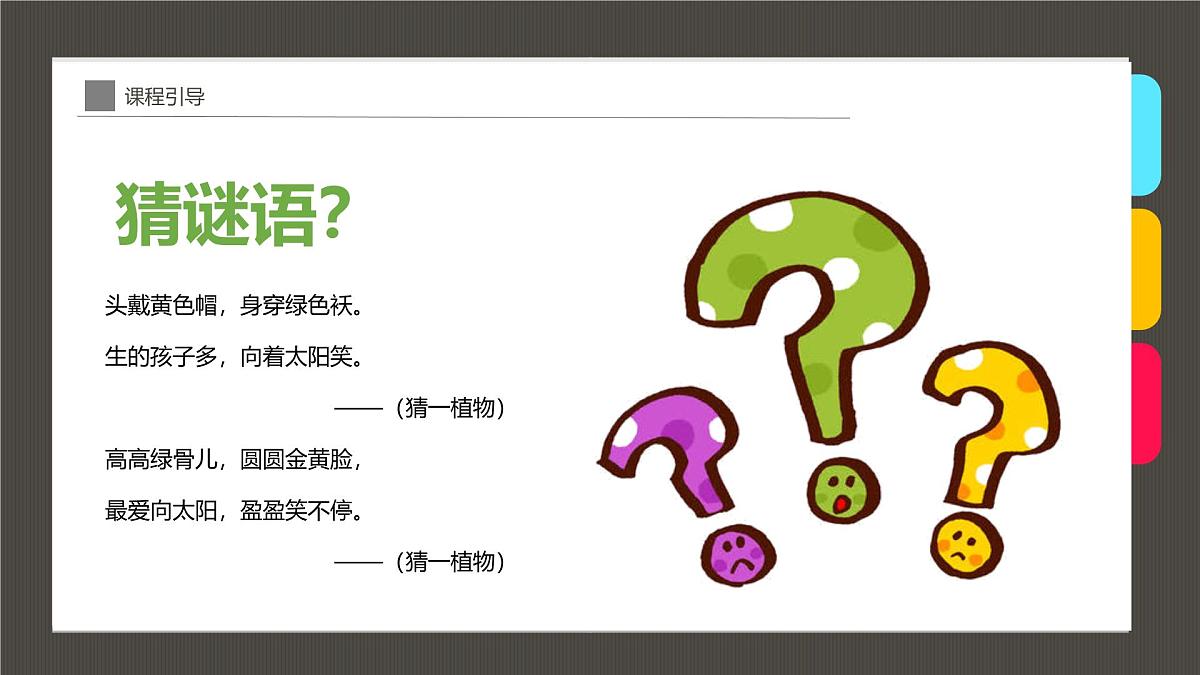 大班《向日葵》+课件第4页