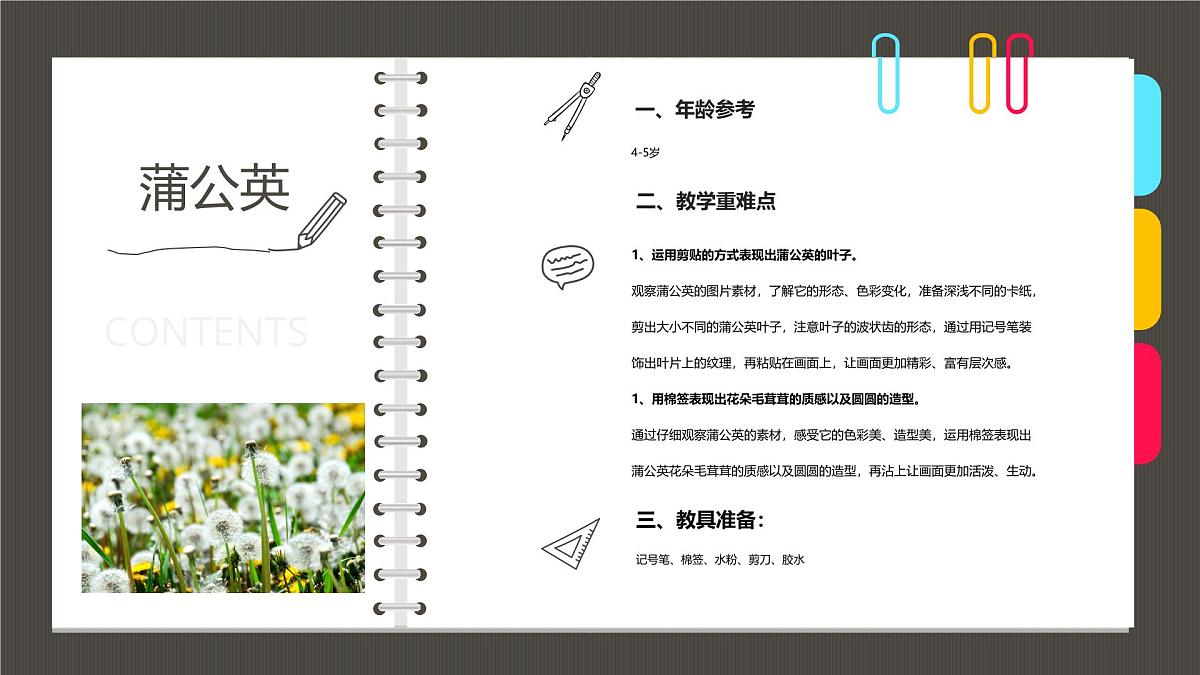 大班《漂亮的蒲公英》+课件第2页