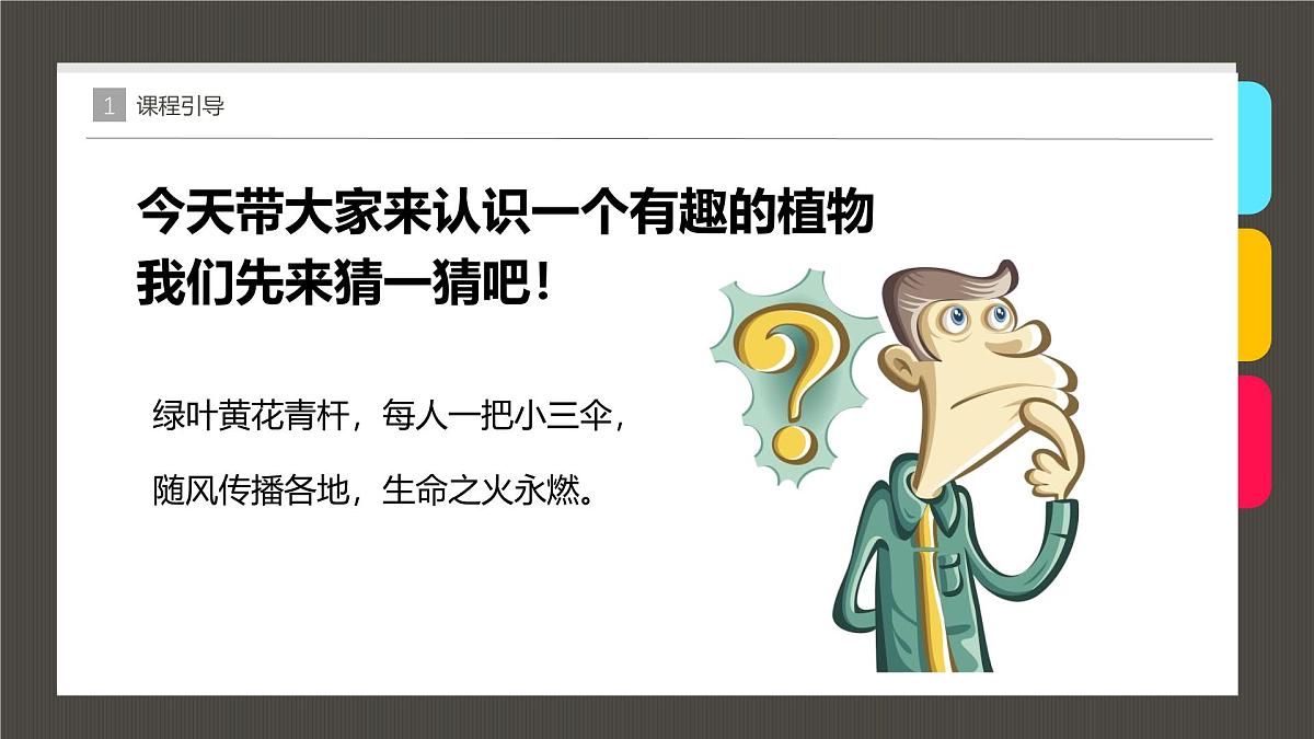 大班《漂亮的蒲公英》+课件第4页
