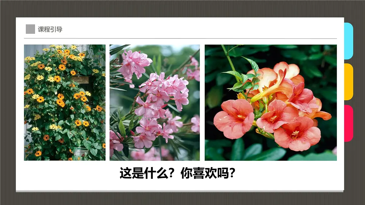 大班《花丛中的蝴蝶》+课件第4页