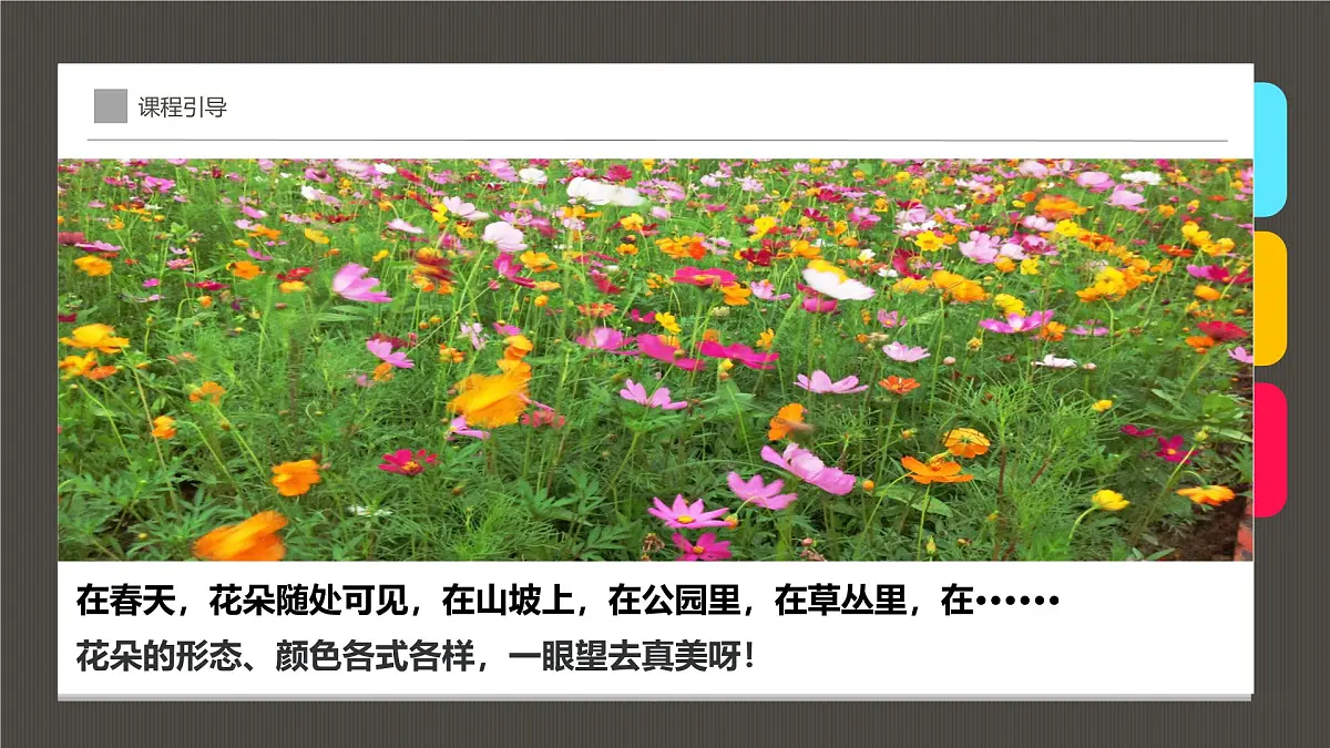 大班《花丛中的蝴蝶》+课件第5页
