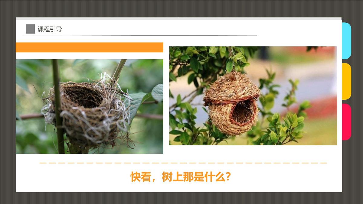 大班《温暖的鸟窝》+课件第4页