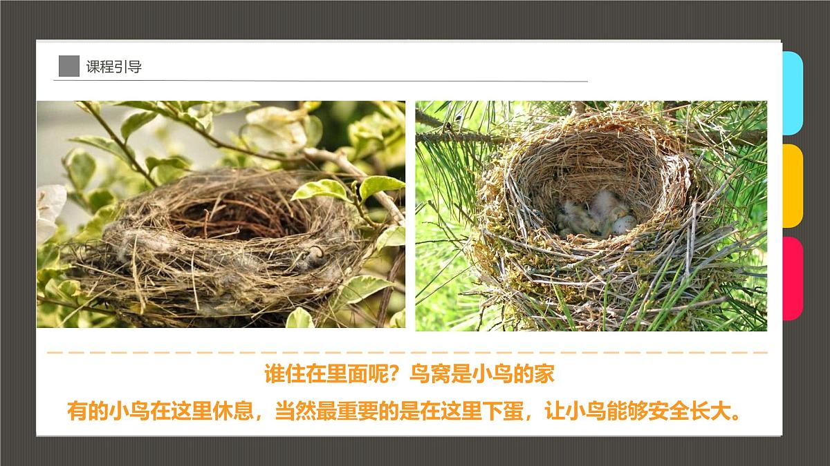 大班《温暖的鸟窝》+课件第5页
