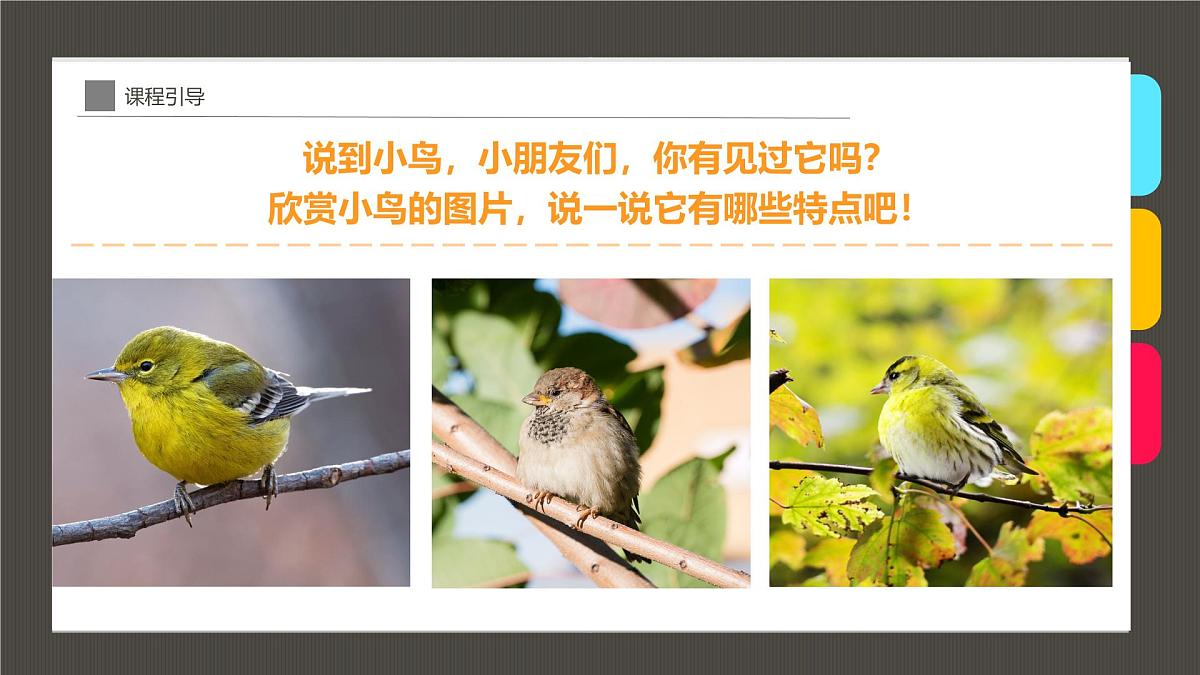 大班《温暖的鸟窝》+课件第6页