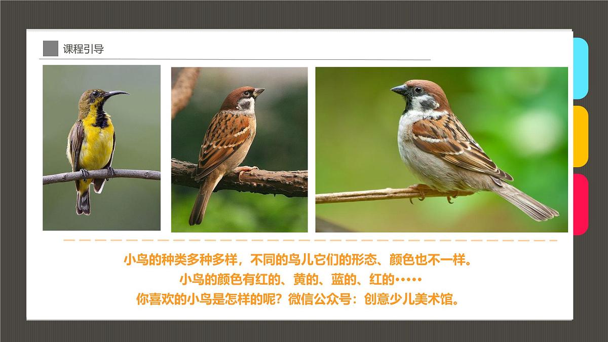 大班《温暖的鸟窝》+课件第8页
