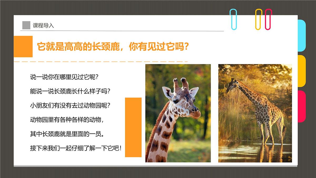大班《花脖子的长颈鹿》+课件第5页