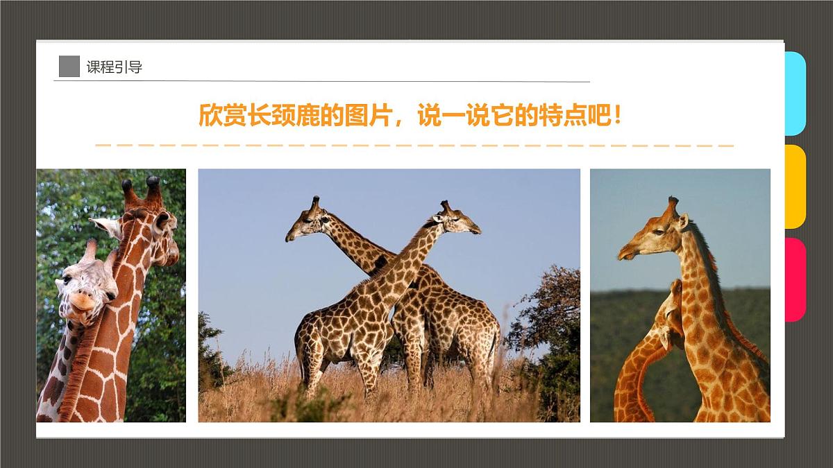 大班《花脖子的长颈鹿》+课件第6页