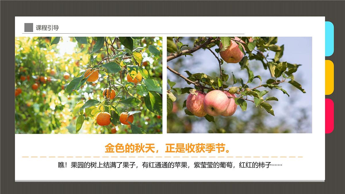 大班《黄澄澄的梨子，成熟了》+课件第4页