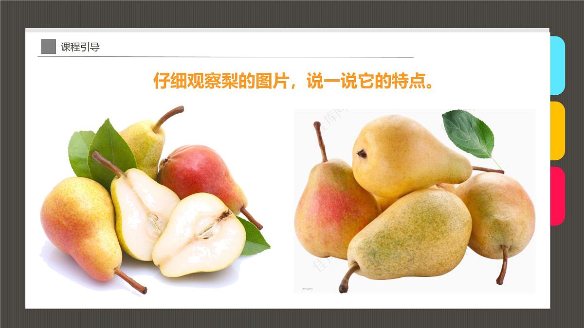 大班《黄澄澄的梨子，成熟了》+课件第8页