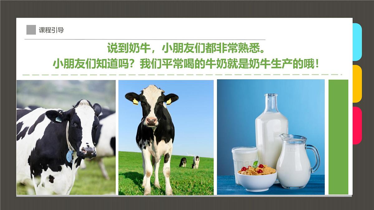 通用  学前教育  大班《一头超神奇的奶牛！》课件第4页
