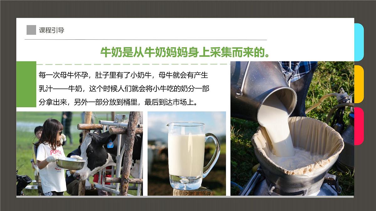 通用  学前教育  大班《一头超神奇的奶牛！》课件第5页