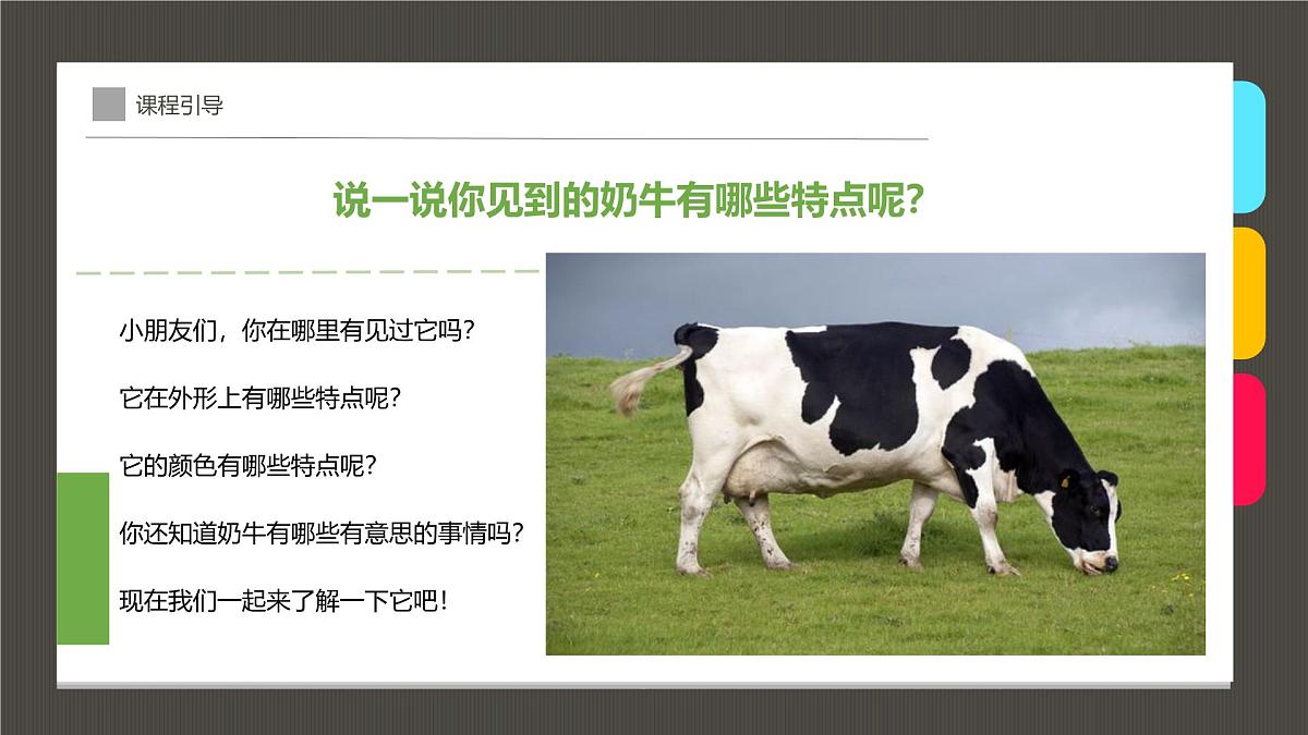 通用  学前教育  大班《一头超神奇的奶牛！》课件第6页