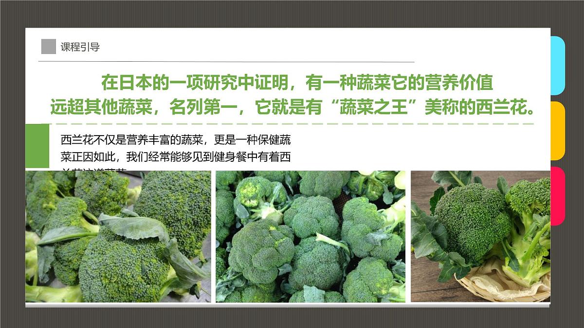 通用  学前教育  大班《点出一朵朵西兰花》课件第6页