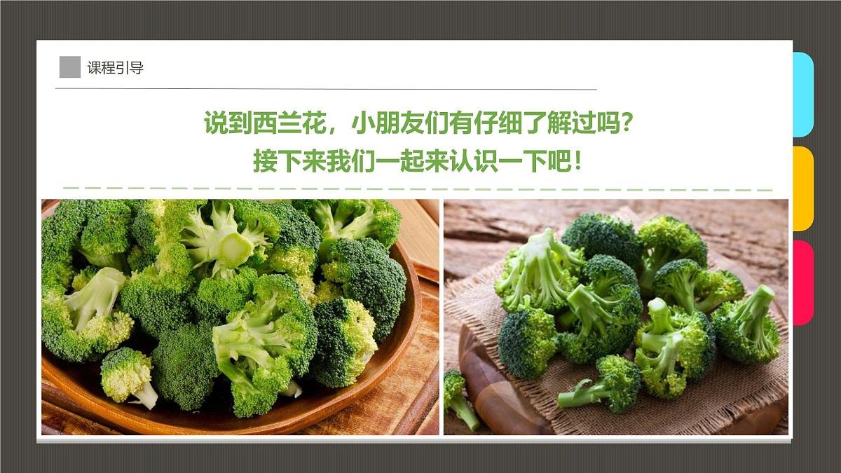 通用  学前教育  大班《点出一朵朵西兰花》课件第7页