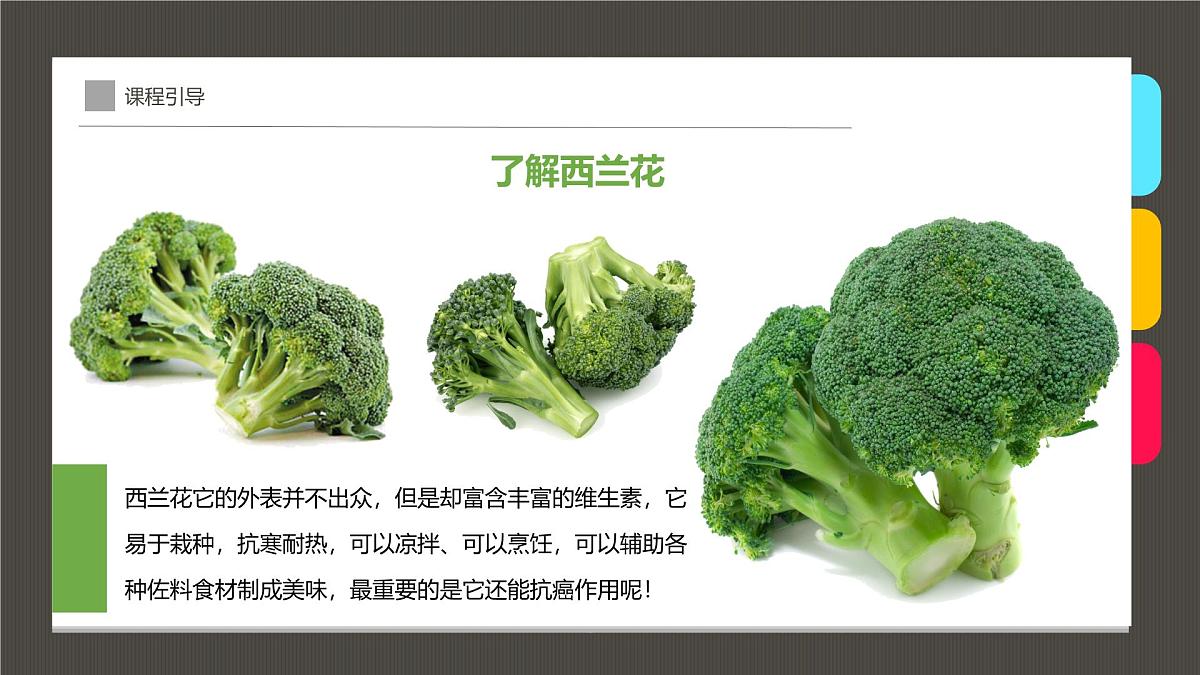 通用  学前教育  大班《点出一朵朵西兰花》课件第8页