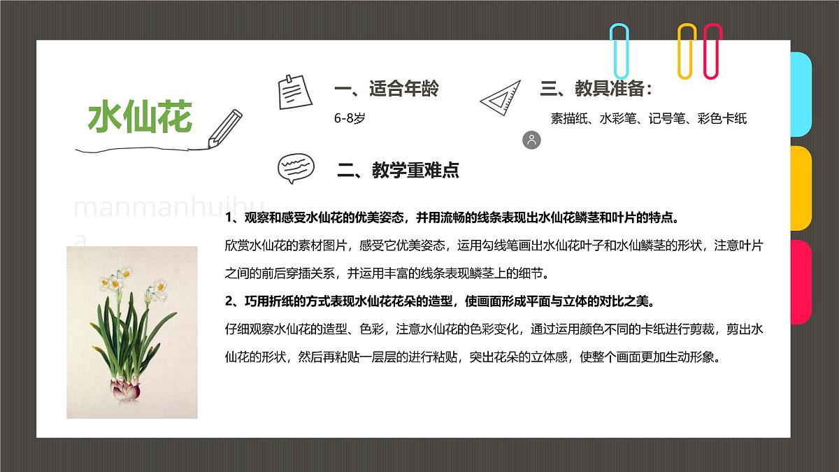 通用  学前教育  大班《“凌波仙子”水仙花》课件第2页