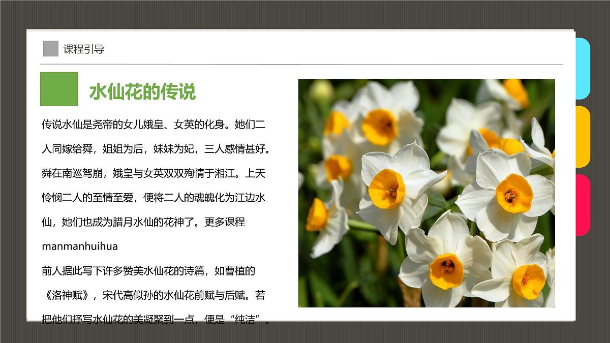 通用  学前教育  大班《“凌波仙子”水仙花》课件第8页
